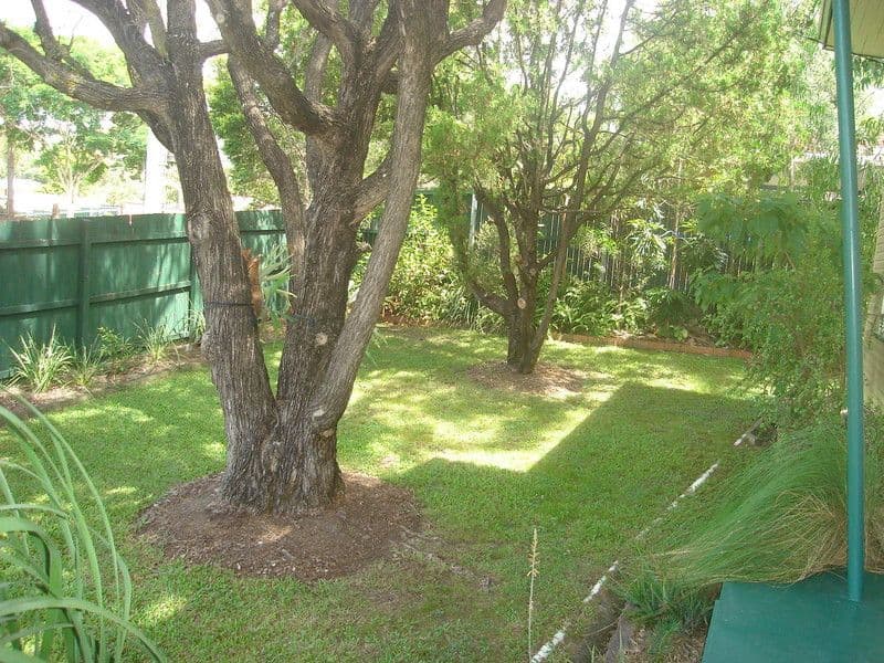 145 Boundary Road, Coorparoo QLD 4151, Coorparoo - Thumbnail 8