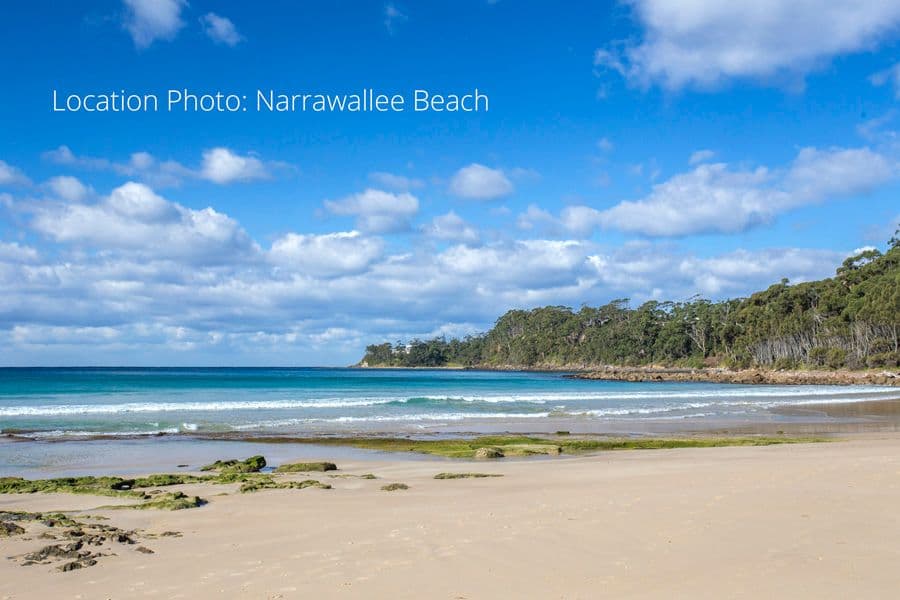 79 Leo Drive, Narrawallee NSW 2539, Narrawallee - Thumbnail 4