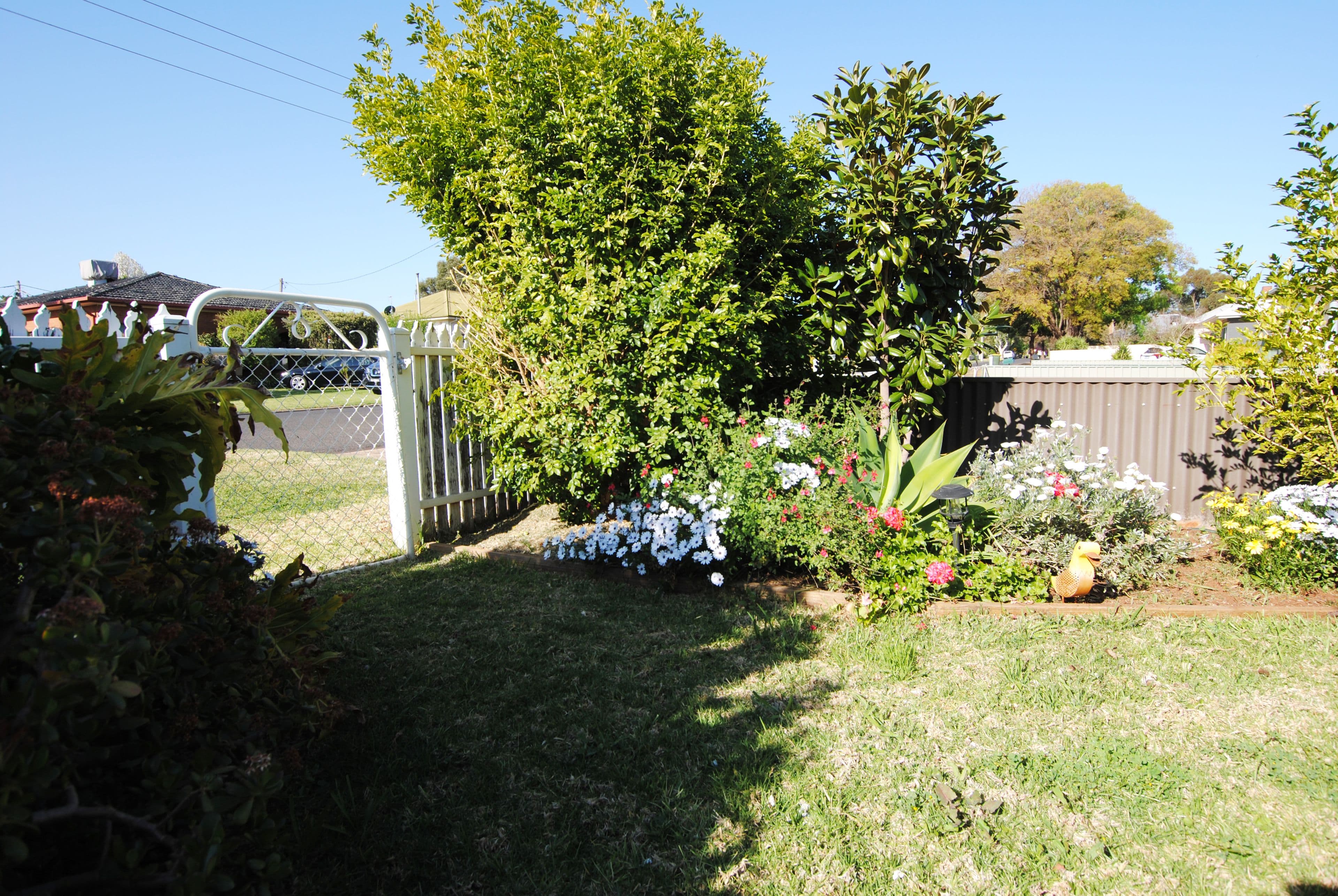 74 Noorilla Street, Griffith - Thumbnail 2