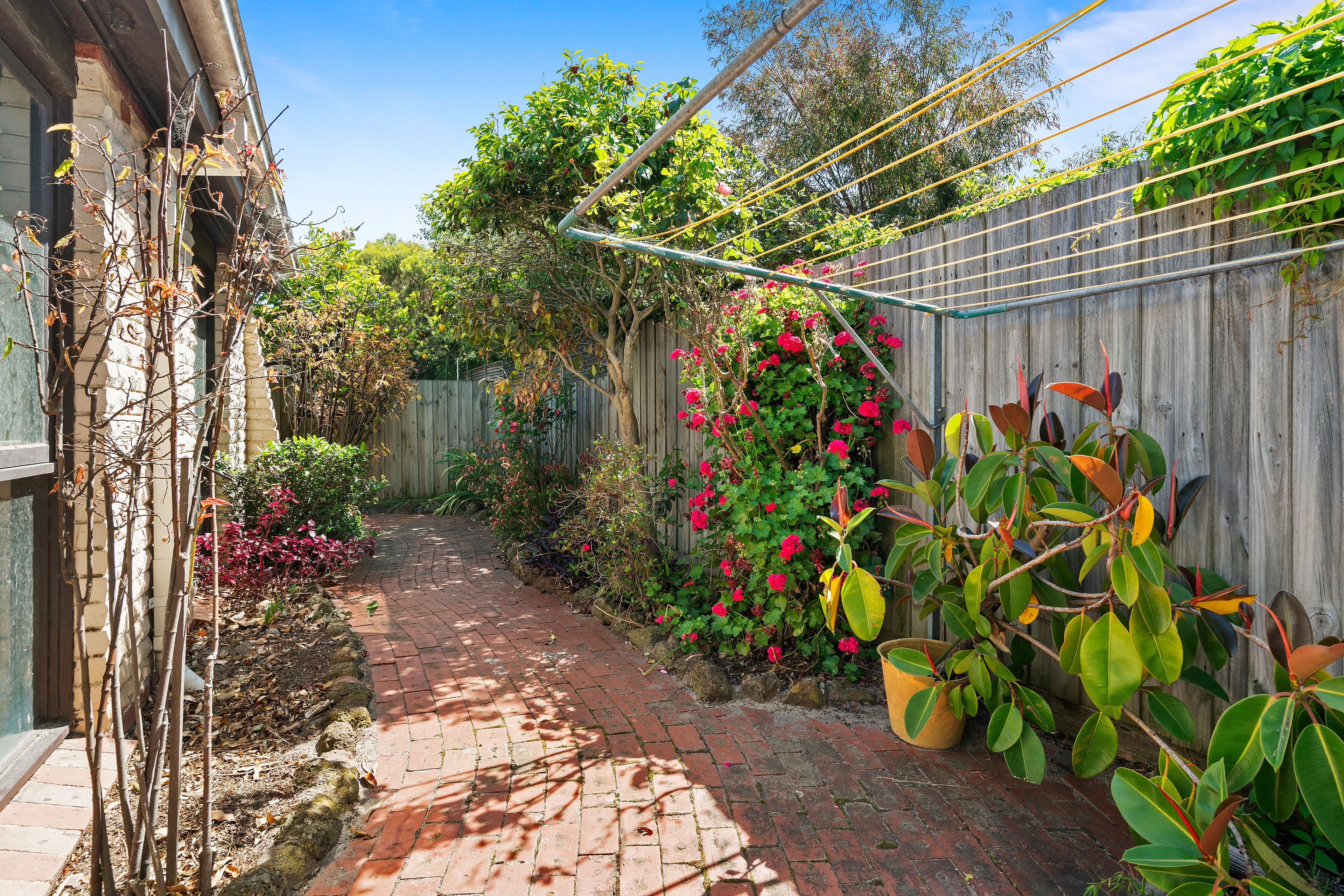 25 Wedd Street, Cheltenham VIC 3192, Cheltenham - Thumbnail 8