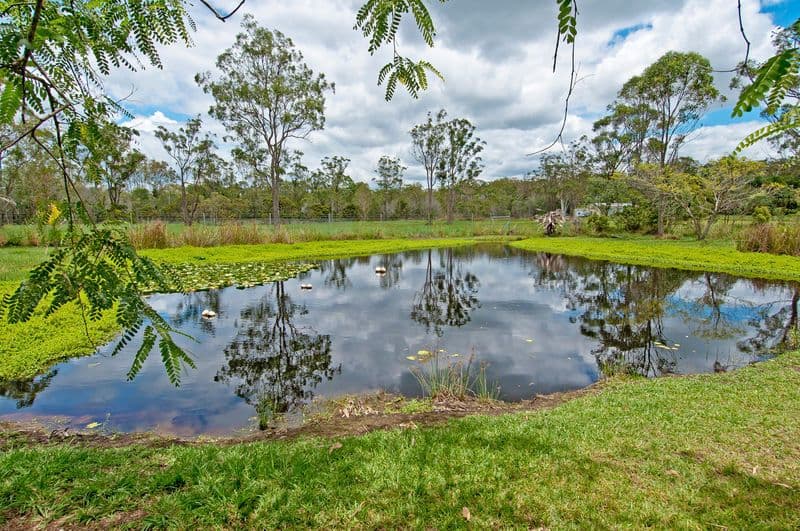 26 Sungold Road, CHAMBERS FLAT QLD 4133, Chambers Flat - Thumbnail 2