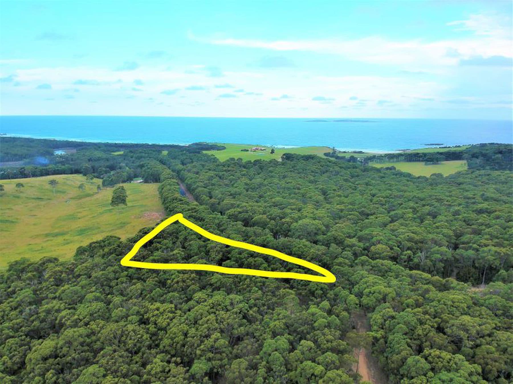 7510 Princes Highway, Narooma, Narooma - Thumbnail 3