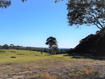7510 Princes Highway, Narooma, Narooma - Thumbnail 8