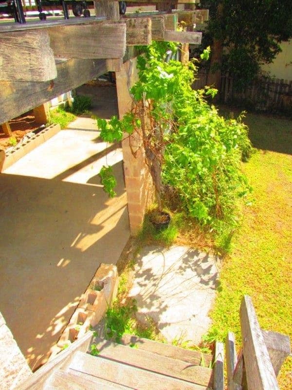 4 Sport Street, NAMBUCCA HEADS NSW 2448, Nambucca Heads - Thumbnail 8