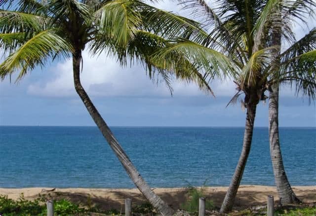 64 Kennedy Esplanade, MISSION BEACH QLD 4852, South Mission Beach - Thumbnail 5