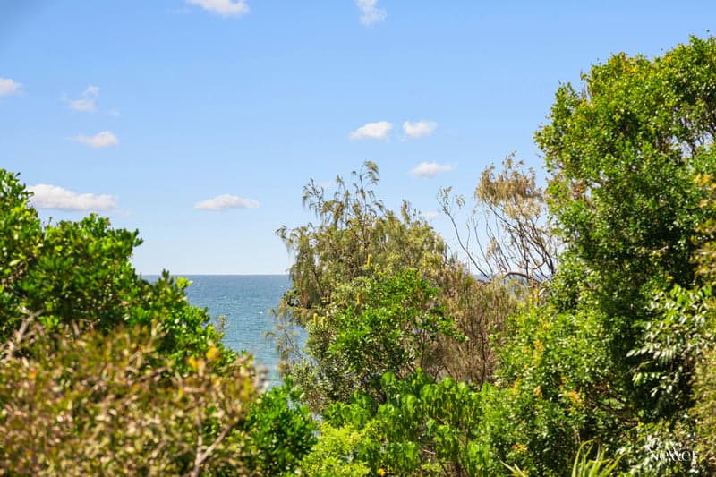 100 Lorikeet Drive, Peregian Beach - Thumbnail 2