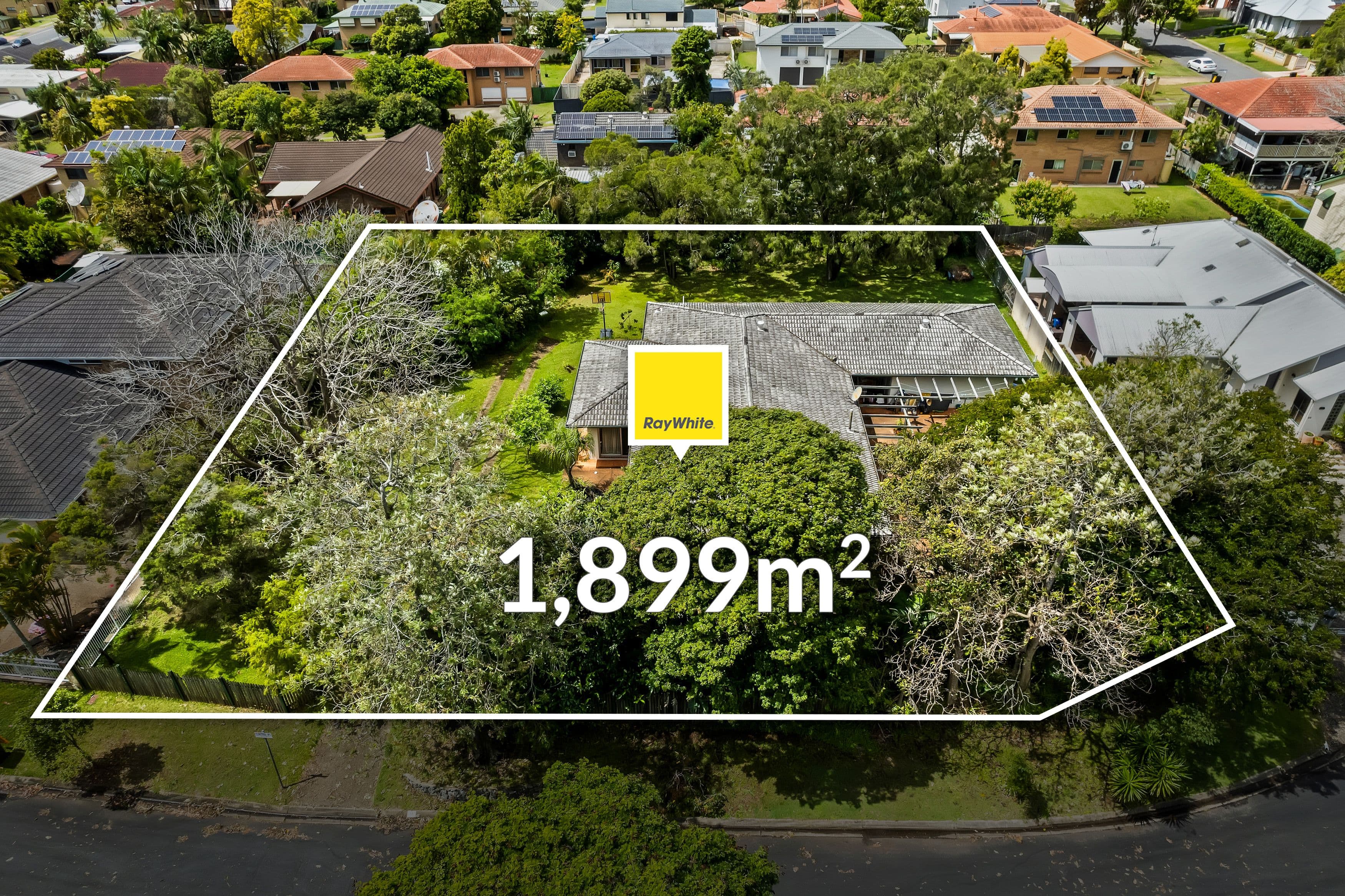 17 Cintra Place, Eight Mile Plains QLD 4113, Eight Mile Plains - Thumbnail 3