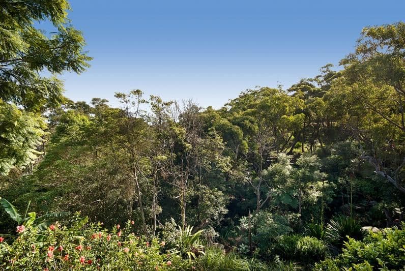 12 Hollings Crescent, HEATHCOTE NSW 2233, Heathcote - Thumbnail 8