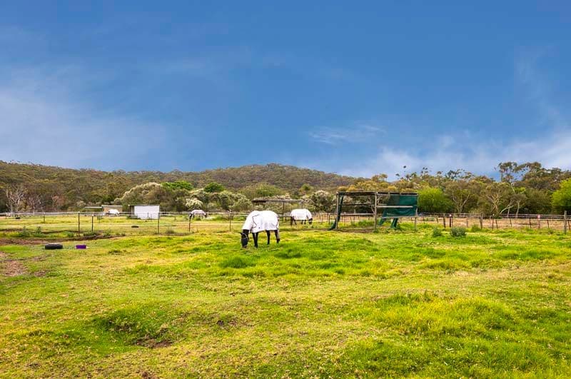 INGLESIDE NSW 2101, Ingleside - Image 1