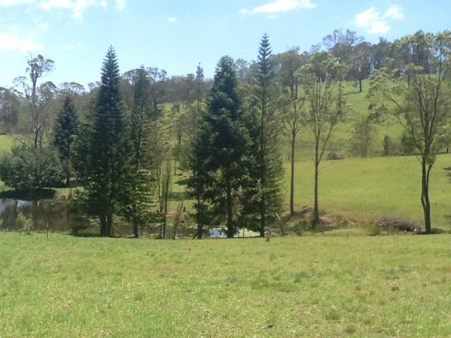 30A Darwalla Road, MOUNT NATHAN QLD 4211, Mount Nathan - Thumbnail 2