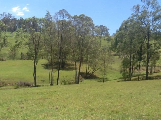 30A Darwalla Road, MOUNT NATHAN QLD 4211, Mount Nathan - Thumbnail 3