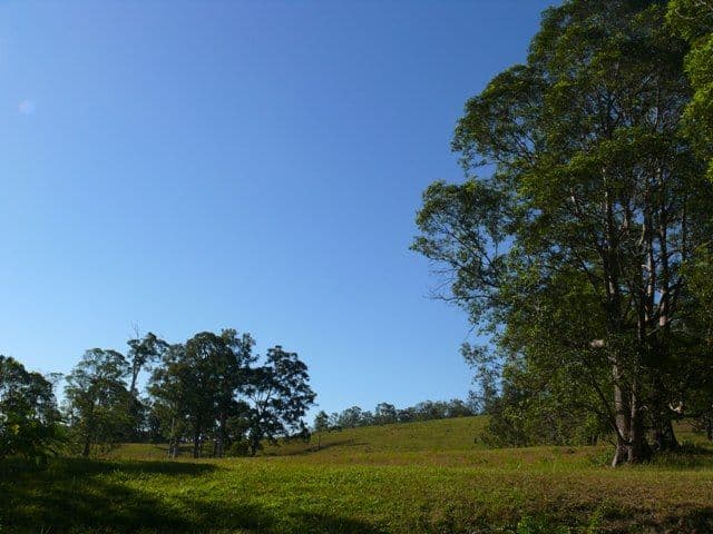 30A Darwalla Road, MOUNT NATHAN QLD 4211, Mount Nathan - Thumbnail 7