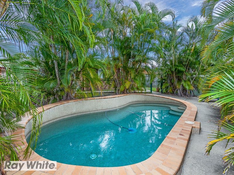 4 Possum Drive, Narangba QLD 4504, Narangba - Thumbnail 2