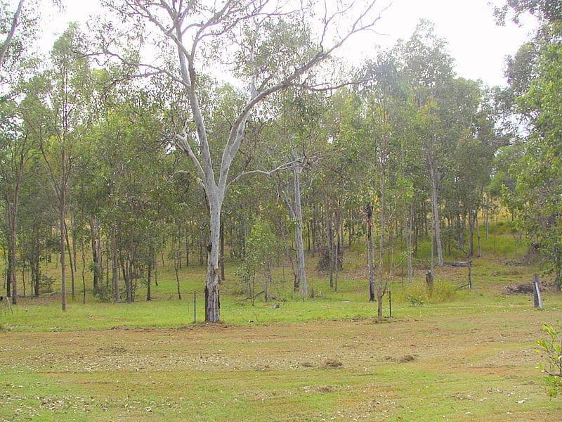 22  Exchange Drive, WATERVIEW HEIGHTS NSW 2460, Waterview Heights - Thumbnail 2