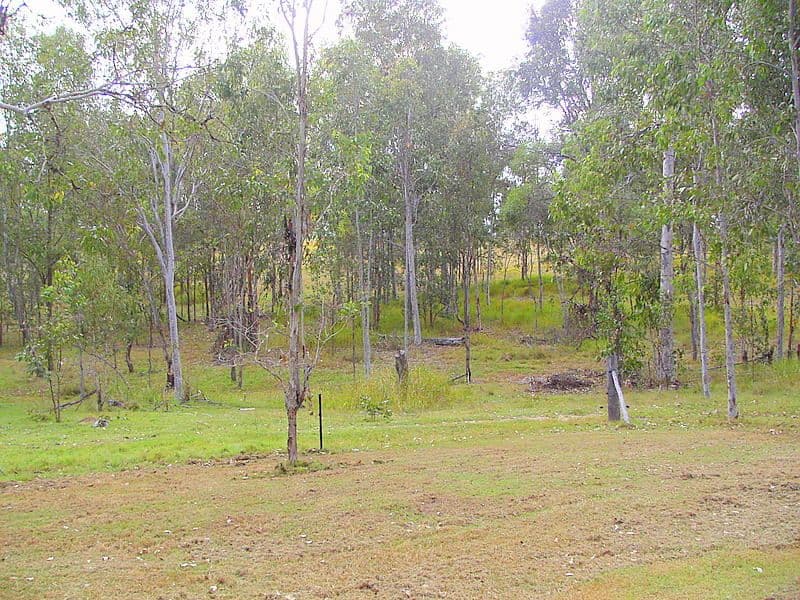 22  Exchange Drive, WATERVIEW HEIGHTS NSW 2460, Waterview Heights - Thumbnail 5