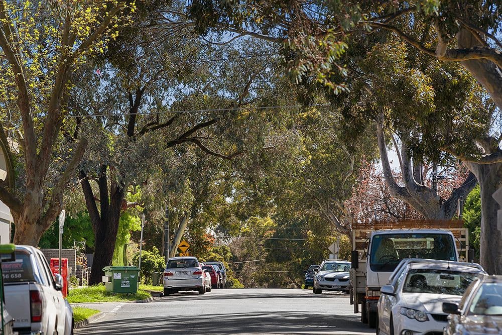 43 Dresden Street, Heidelberg Heights VIC 3081, Heidelberg Heights - Thumbnail 8