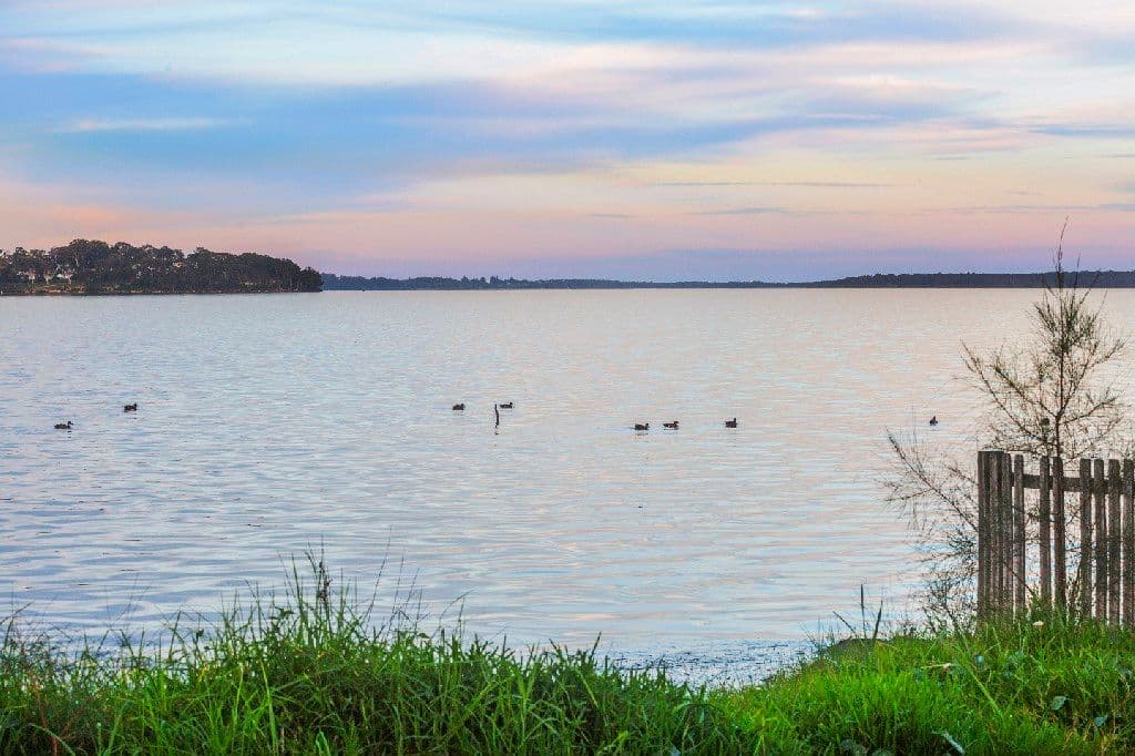 101 Malvina Parade, Lake Haven NSW 2263, Lake Haven - Thumbnail 2