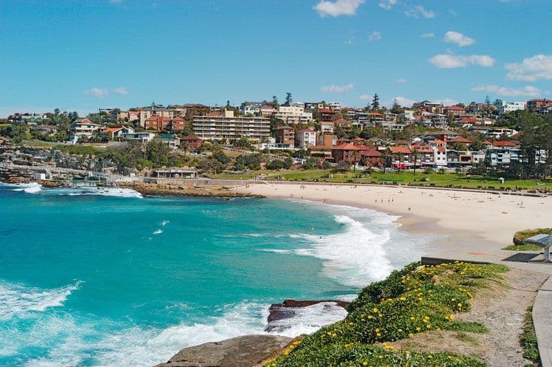 20 Murray Street, Bronte NSW 2024, Bronte - Thumbnail 7