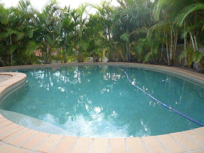 10 Orpington Court, ARUNDEL QLD 4214, Arundel - Thumbnail 5
