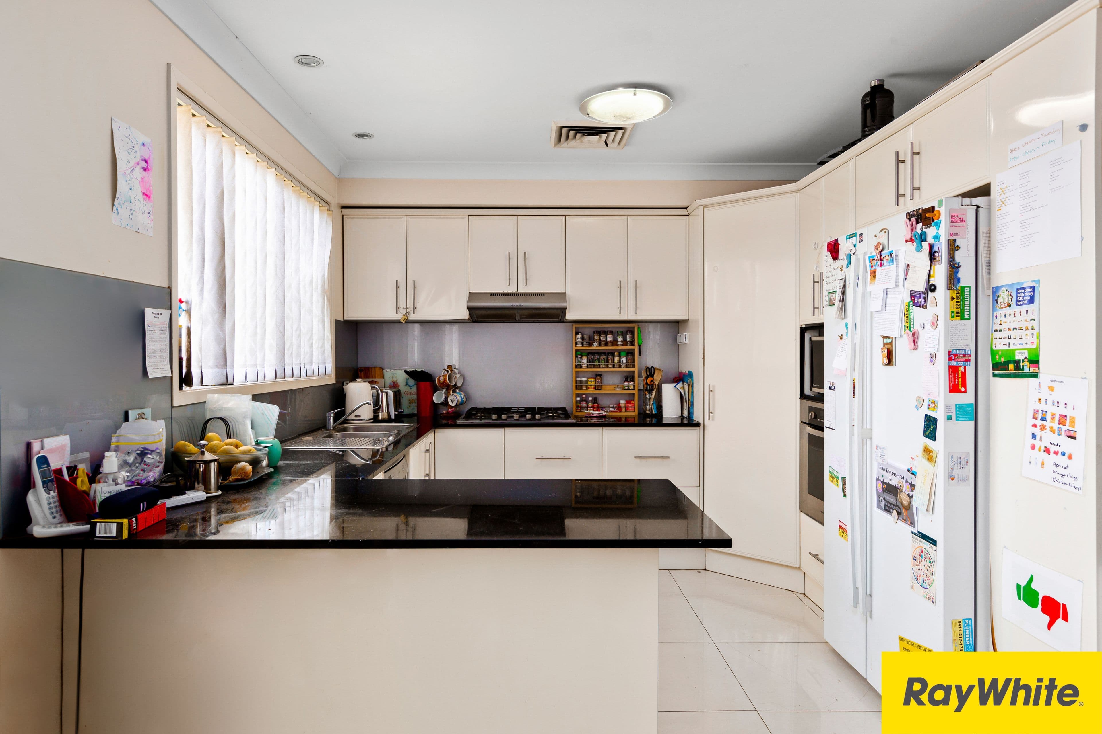 13 Munmorah Circuit, Woodcroft NSW 2767, Woodcroft - Thumbnail 3