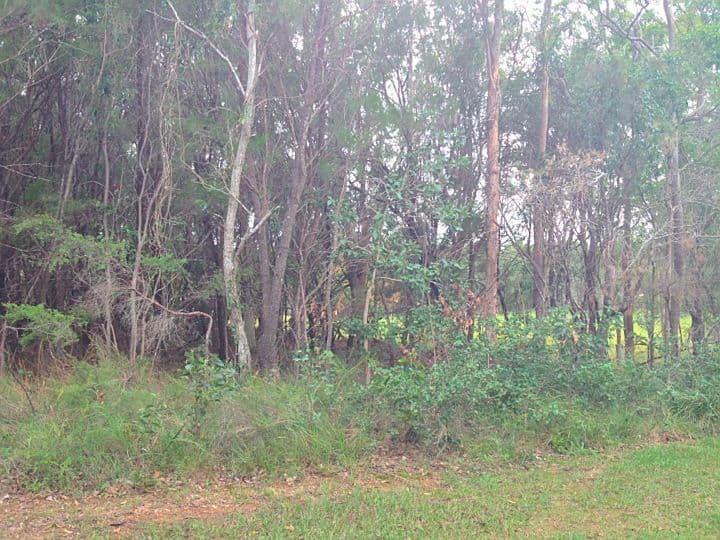 57 Fern Terrace, RUSSELL ISLAND QLD 4184, Russell Island - Image 1