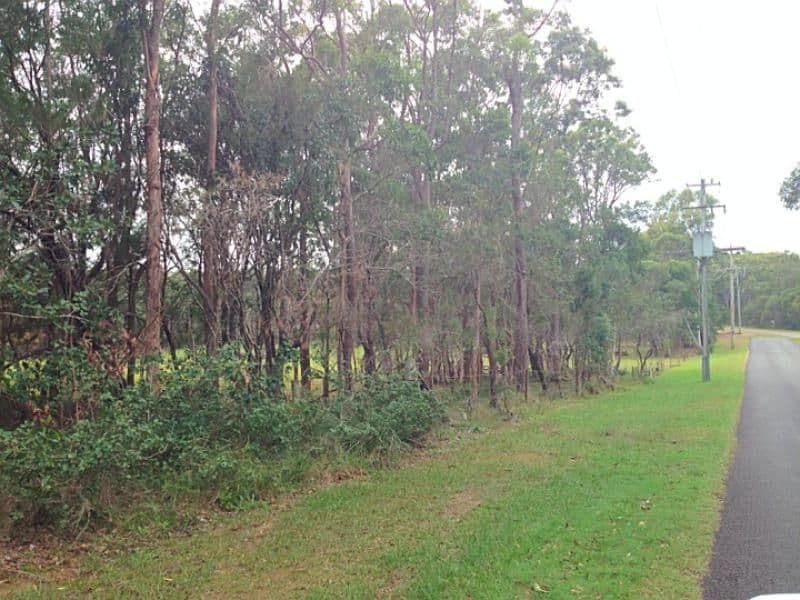 57 Fern Terrace, RUSSELL ISLAND QLD 4184, Russell Island - Thumbnail 3