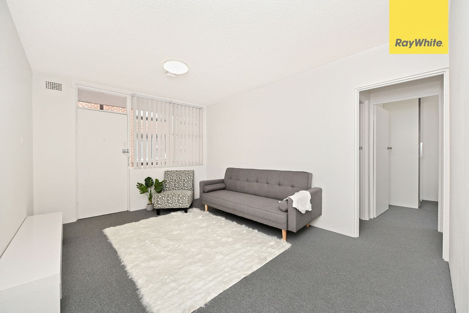 151B Smith Street, Summer Hill NSW 2130, Summer Hill - Thumbnail 3