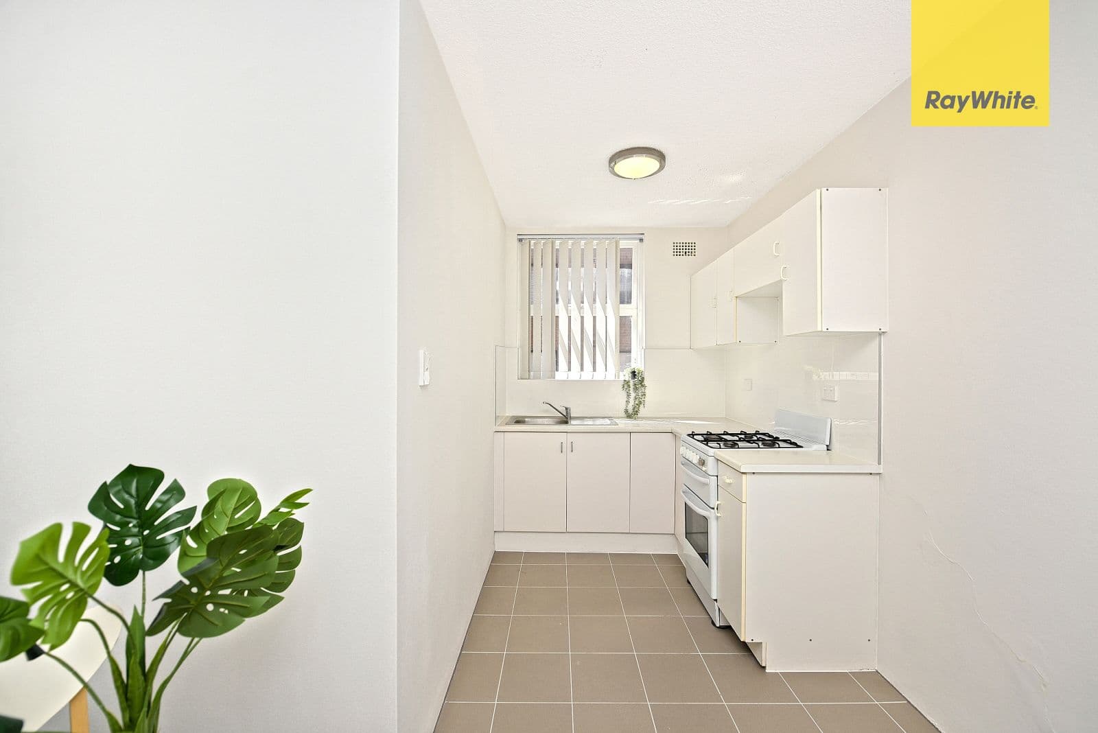 151B Smith Street, Summer Hill NSW 2130, Summer Hill - Thumbnail 6