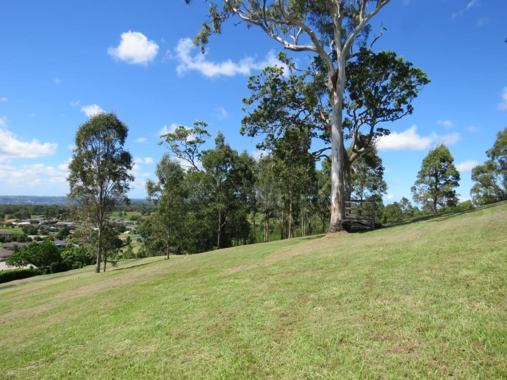 Lot 407 Lomandra Avenue, Caniaba NSW 2480, Caniaba - Thumbnail 5