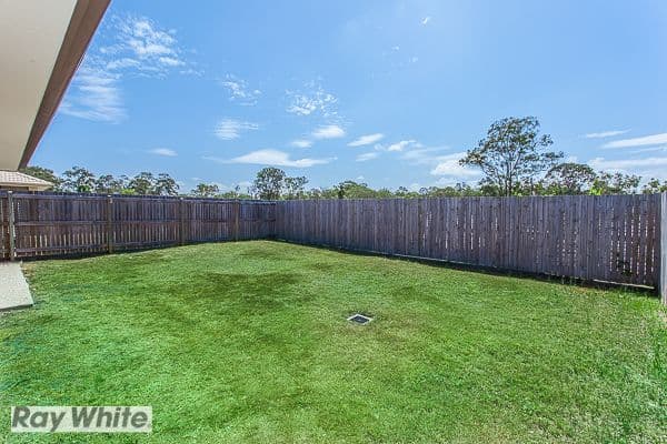 82 Nutmeg Drive, Griffin QLD 4503, Griffin - Thumbnail 3