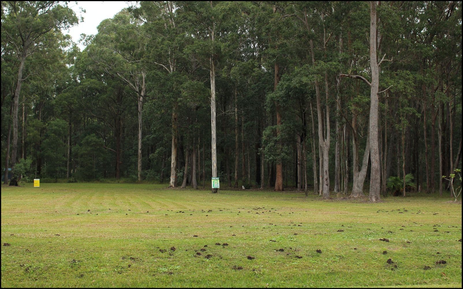 Lot 200 Emu Drive, Woombah NSW 2469, Woombah - Thumbnail 2