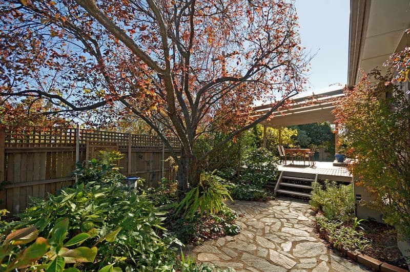 65 Yiman Street, WARAMANGA ACT 2611, Waramanga - Thumbnail 4