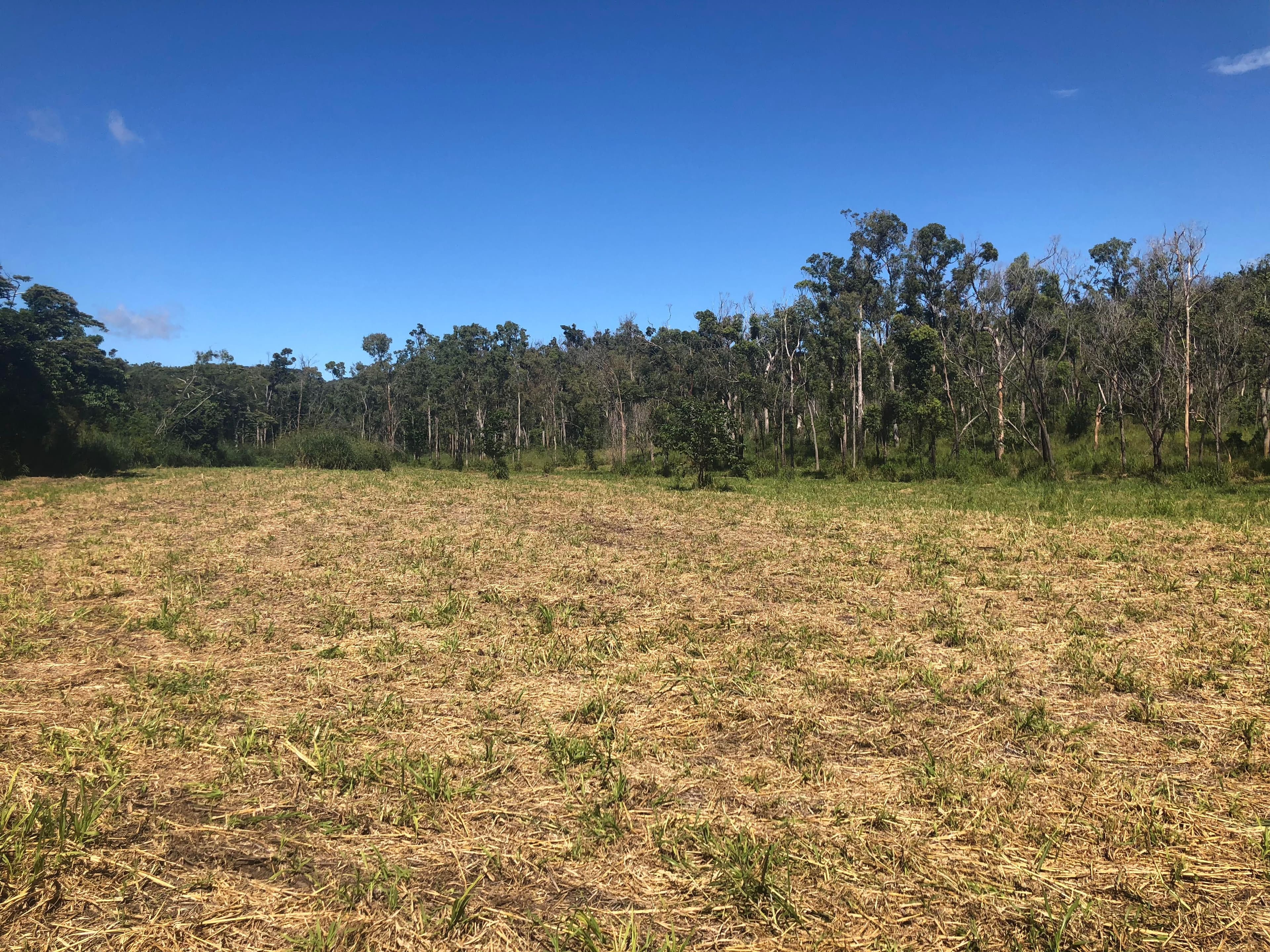 Lot 1 Saltwater Creek Road, Palm Grove QLD 4800, Palm Grove - Thumbnail 3