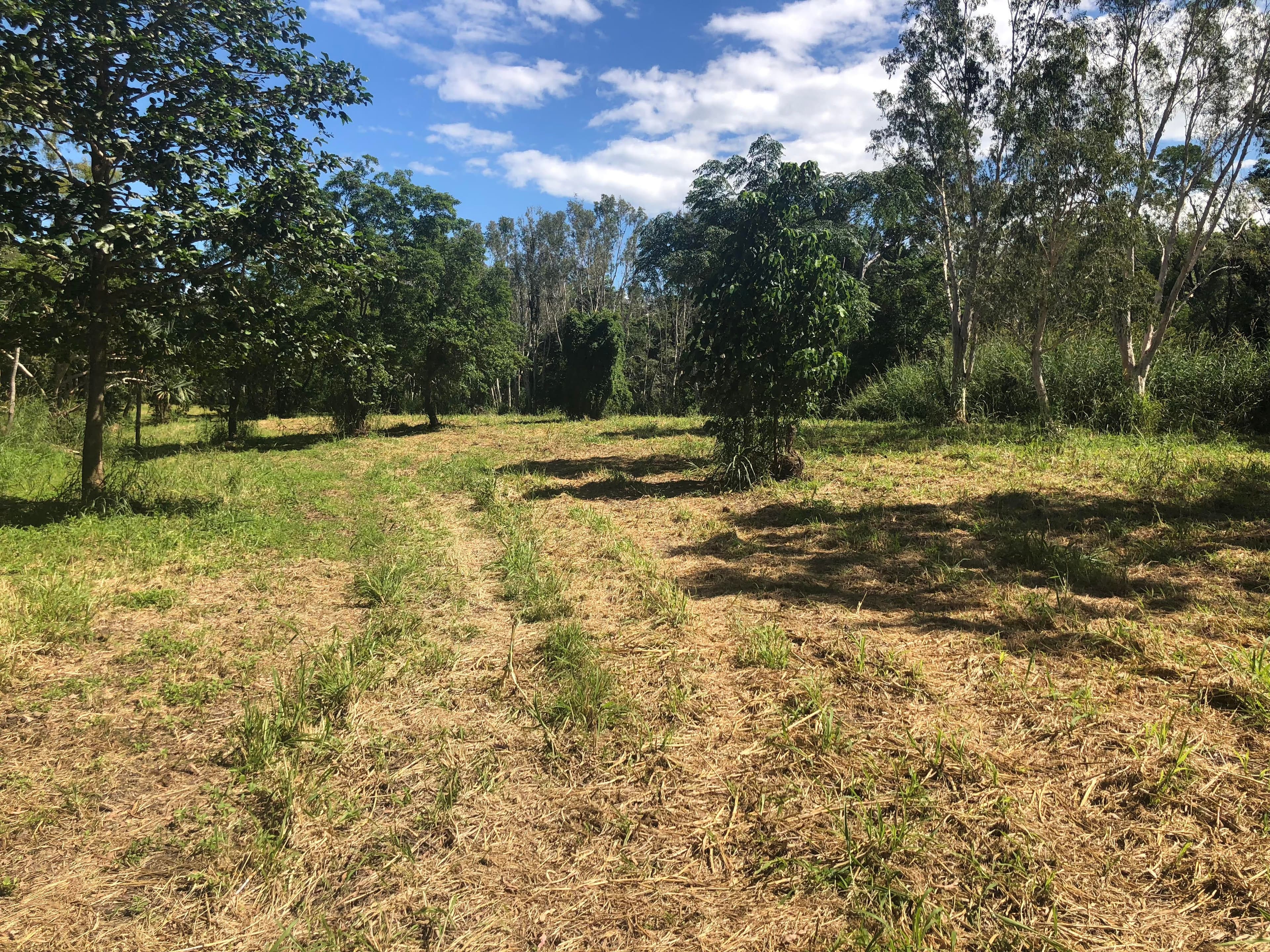 Lot 1 Saltwater Creek Road, Palm Grove QLD 4800, Palm Grove - Thumbnail 4
