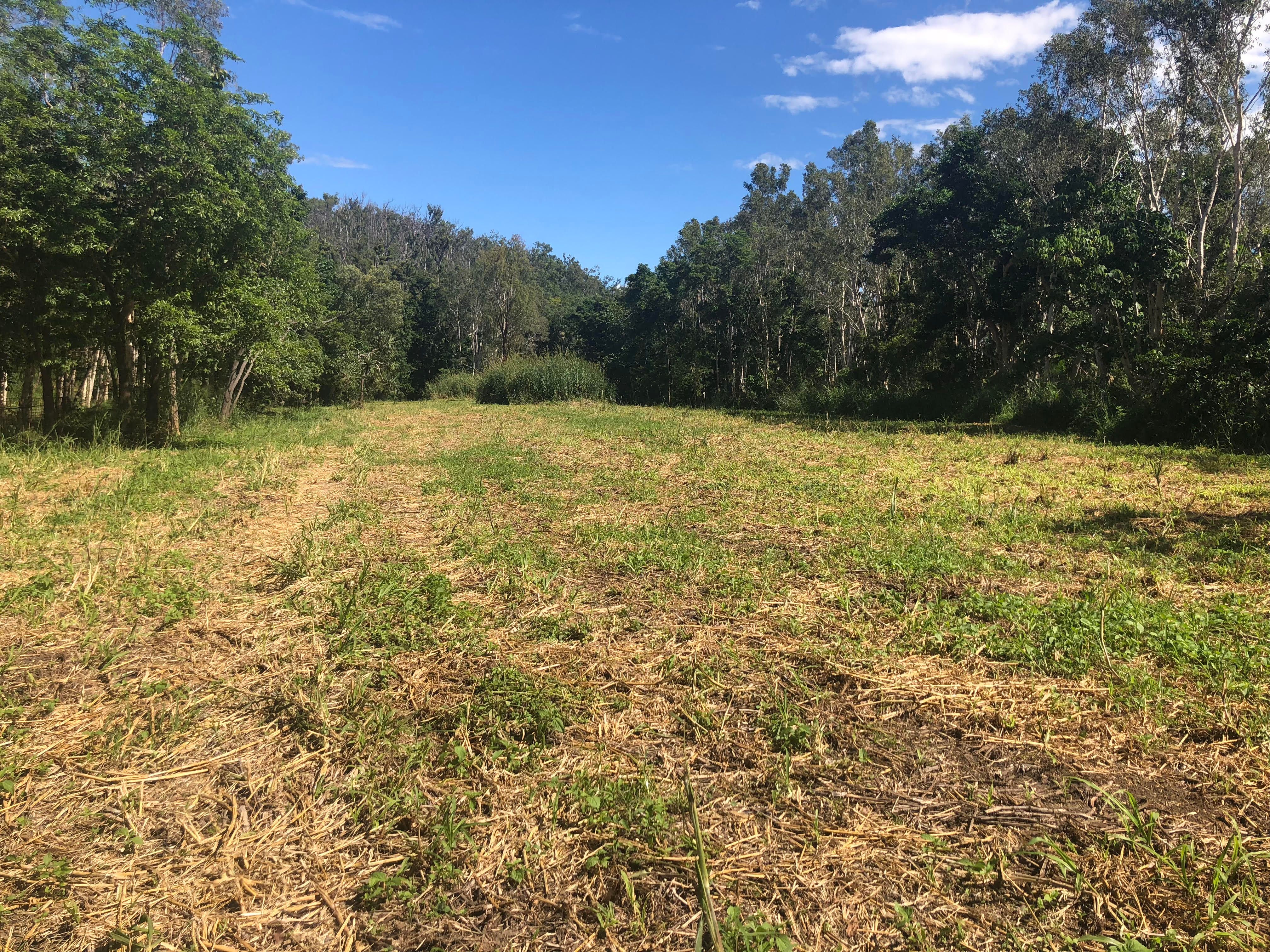 Lot 1 Saltwater Creek Road, Palm Grove QLD 4800, Palm Grove - Thumbnail 5