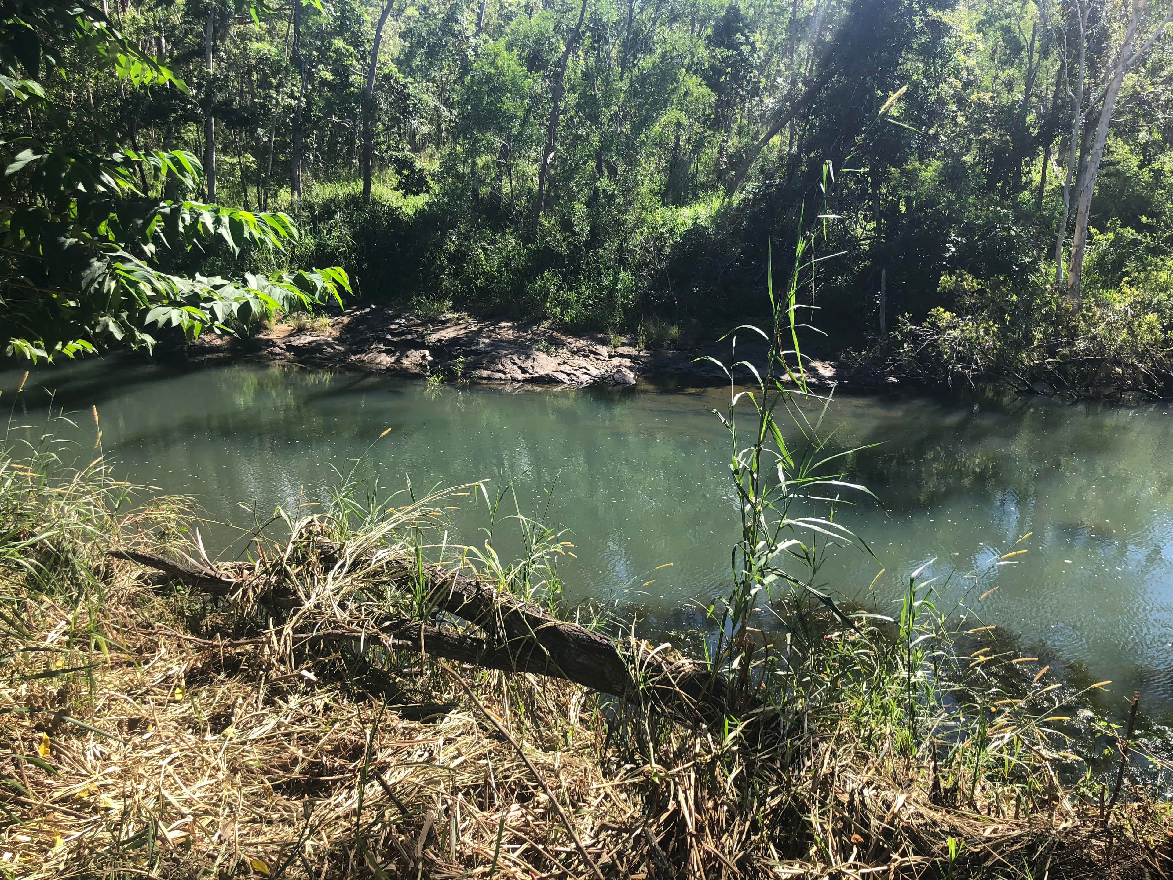 Lot 1 Saltwater Creek Road, Palm Grove QLD 4800, Palm Grove - Thumbnail 7