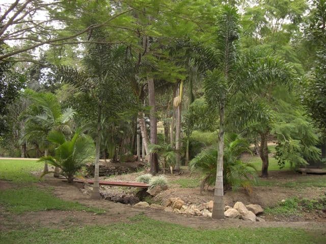2078 Maraju Yakapari Road, THE LEAP QLD 4740, The Leap - Thumbnail 4