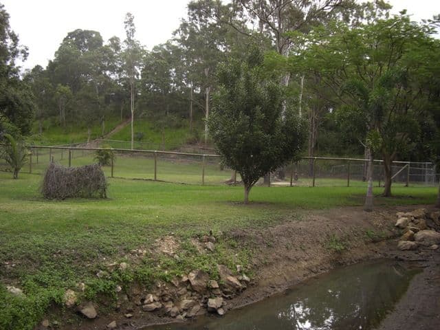 2078 Maraju Yakapari Road, THE LEAP QLD 4740, The Leap - Thumbnail 6