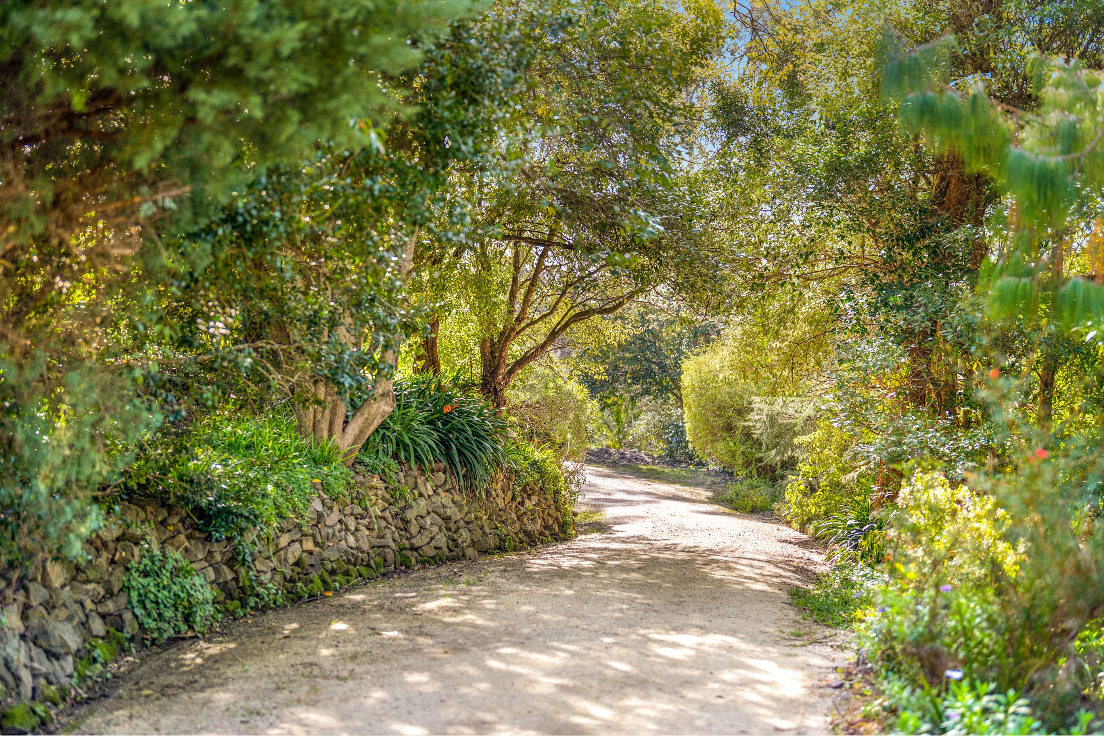 15 Murchison Street, Mittagong NSW 2575, Mittagong - Thumbnail 2