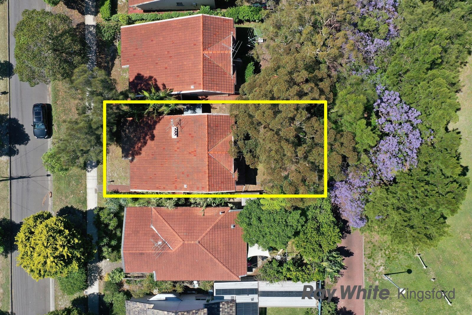 16 Cook Avenue, Daceyville NSW 2032, Daceyville - Thumbnail 5