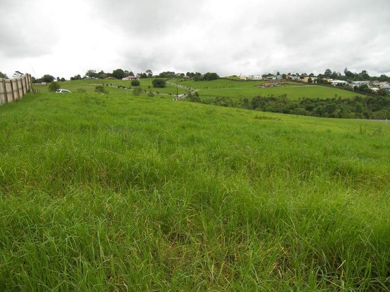 MALENY QLD 4552, Maleny - Image 1