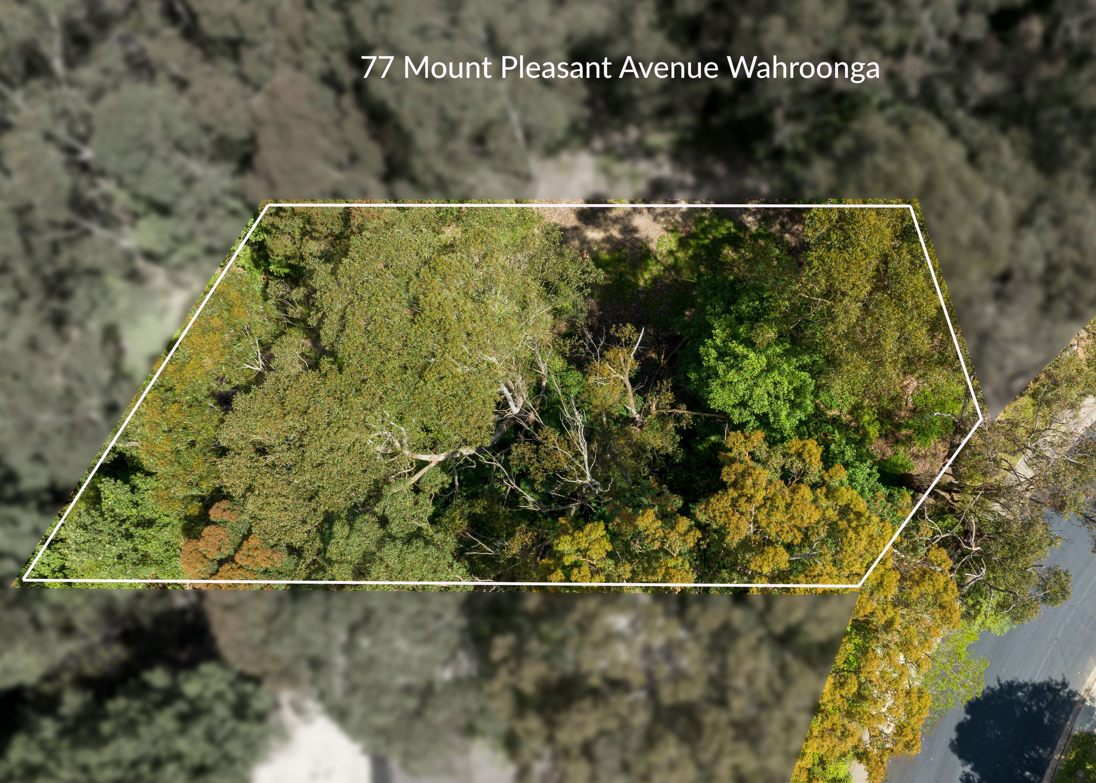77 Mount Pleasant Avenue, Normanhurst NSW 2076, Wahroonga - Image 1