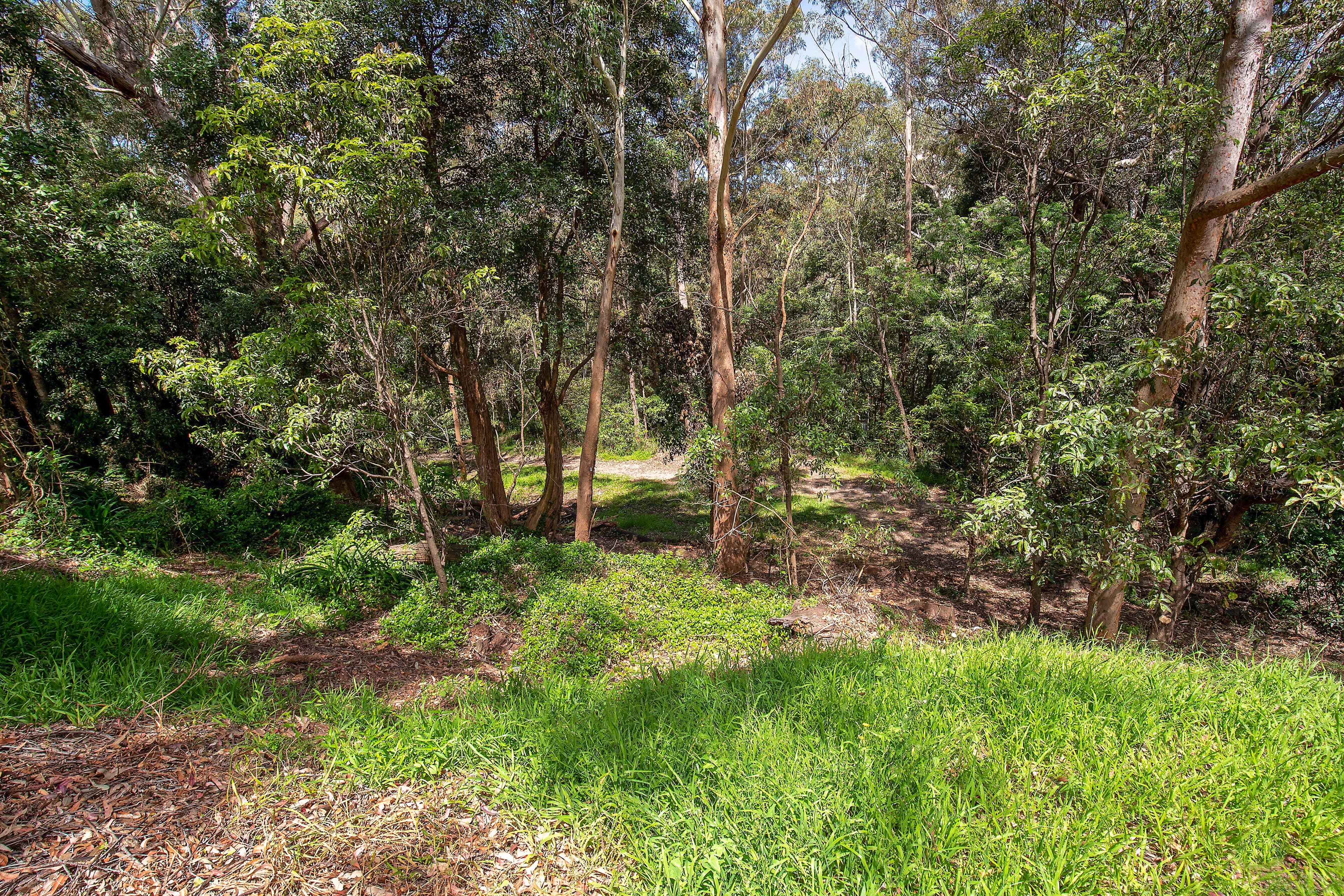 77 Mount Pleasant Avenue, Normanhurst NSW 2076, Wahroonga - Thumbnail 2