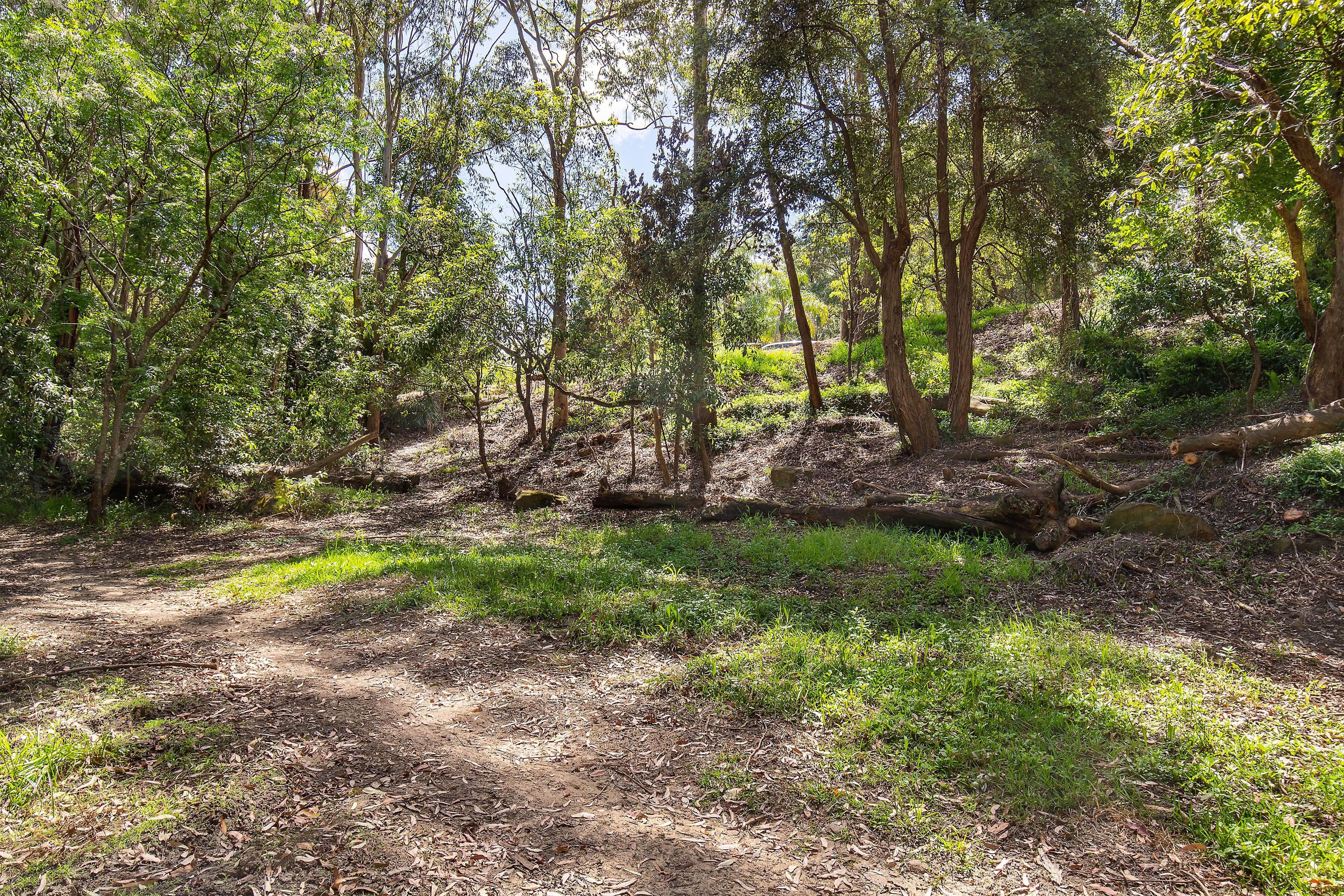 77 Mount Pleasant Avenue, Normanhurst NSW 2076, Wahroonga - Thumbnail 4
