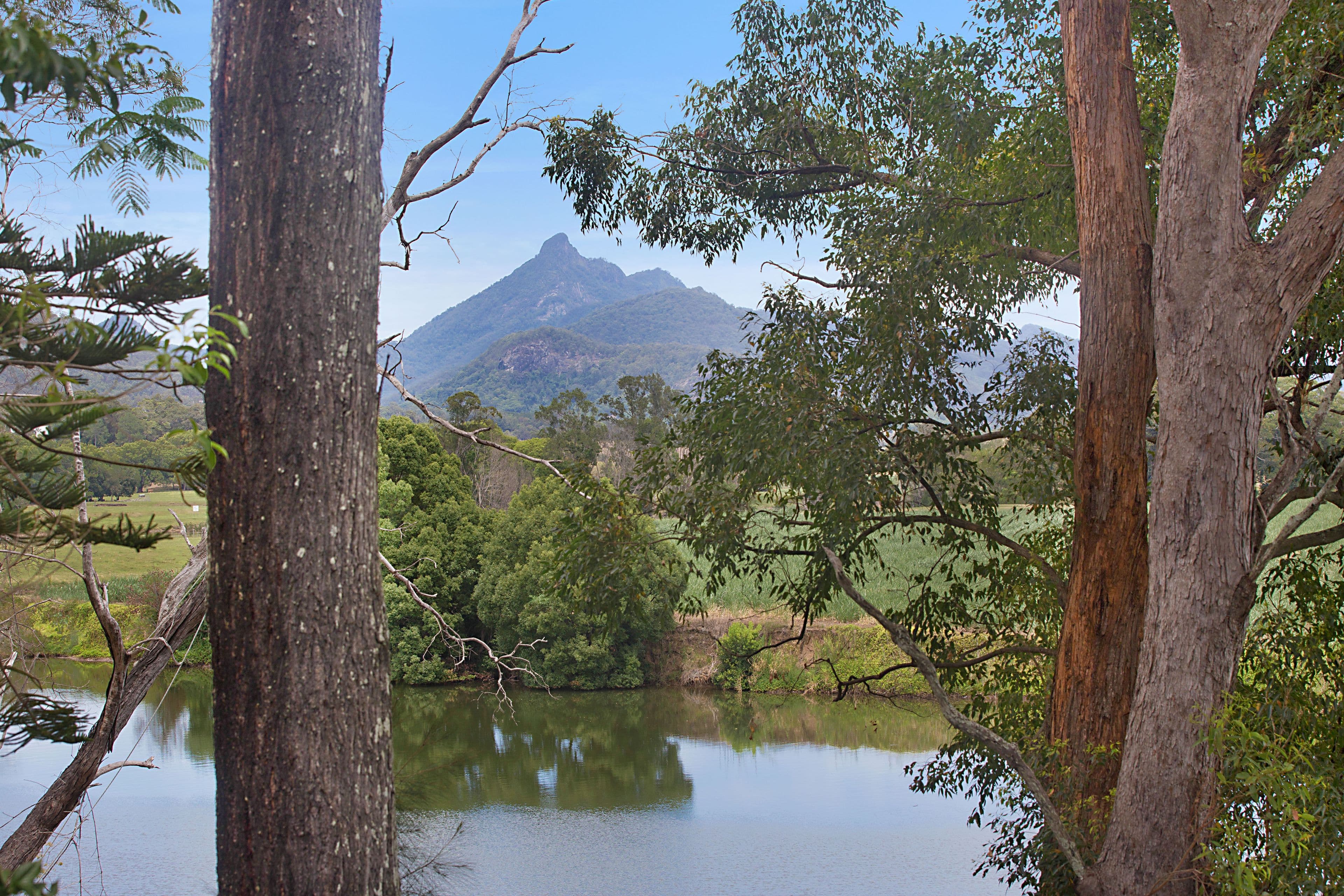 7 Rose Lane, South Murwillumbah NSW 2484, South Murwillumbah - Thumbnail 2