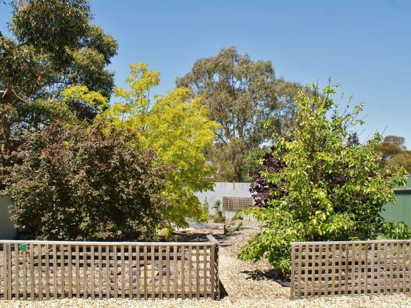 72B Standen Street, Murray Bridge SA 5253, Murray Bridge - Thumbnail 4