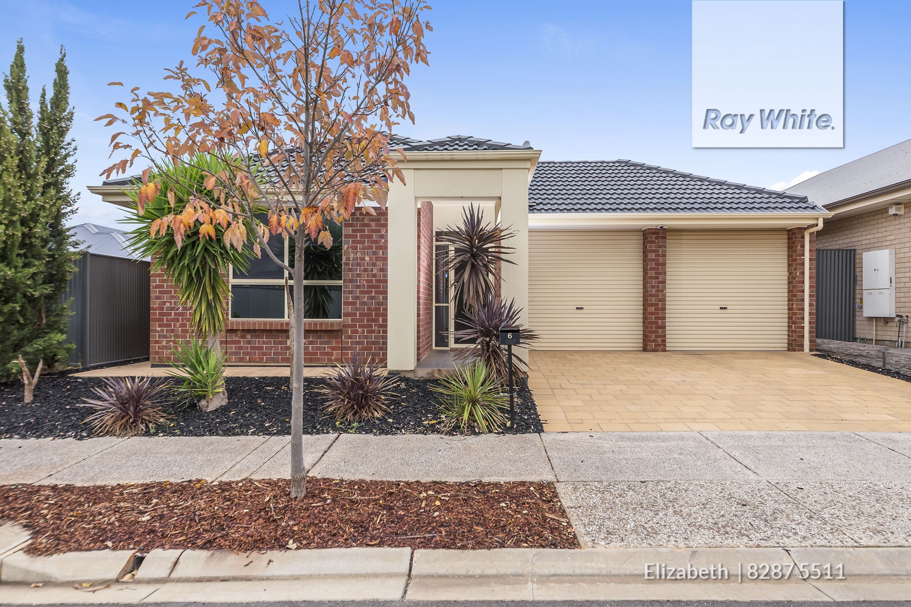 6 Coker Place, Blakeview SA 5114, Blakeview - Thumbnail 2