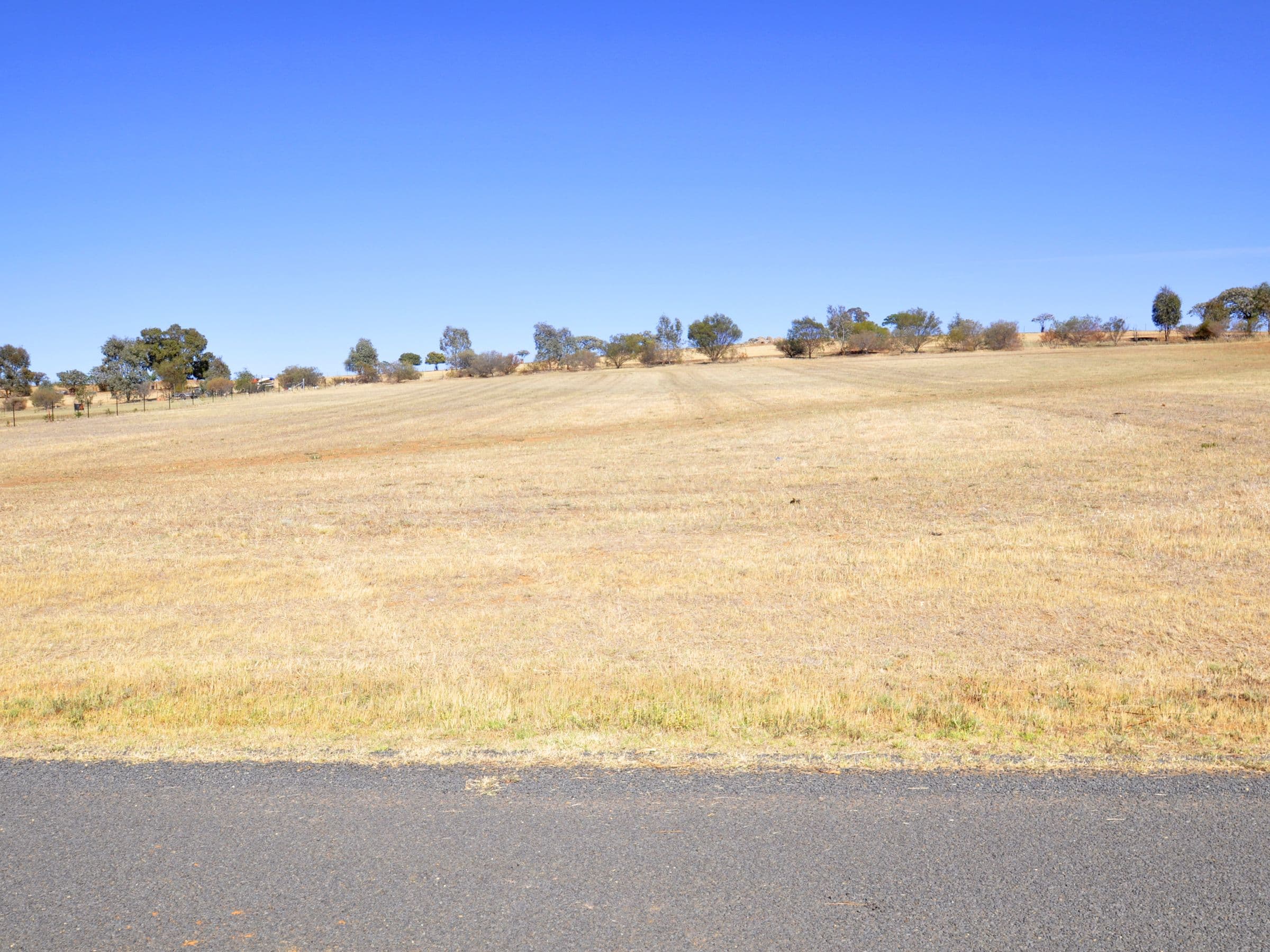 Lot 4 Kaiser Estate, Junee NSW 2663, Junee - Image 1
