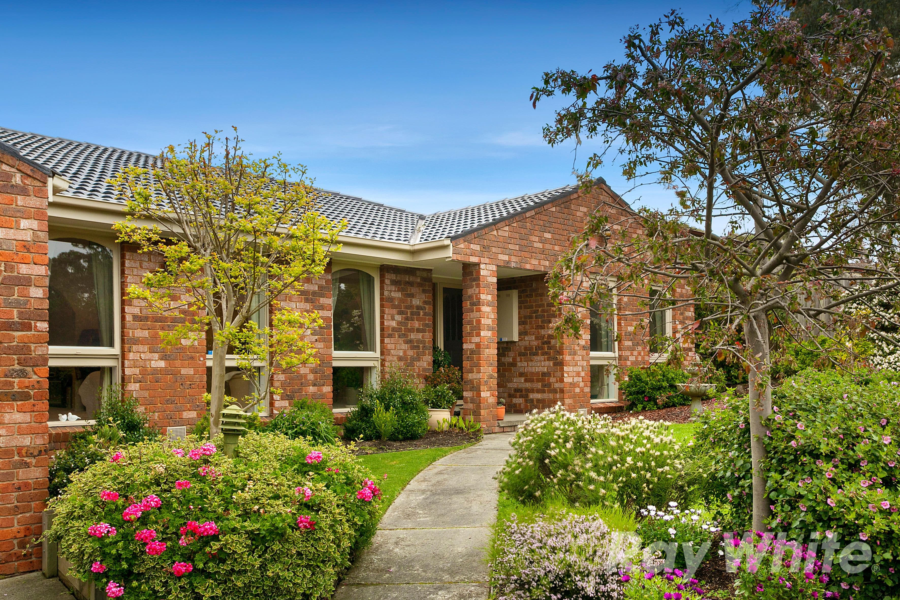 3 Sundowner Court, Wheelers Hill VIC 3150, Wheelers Hill - Thumbnail 2