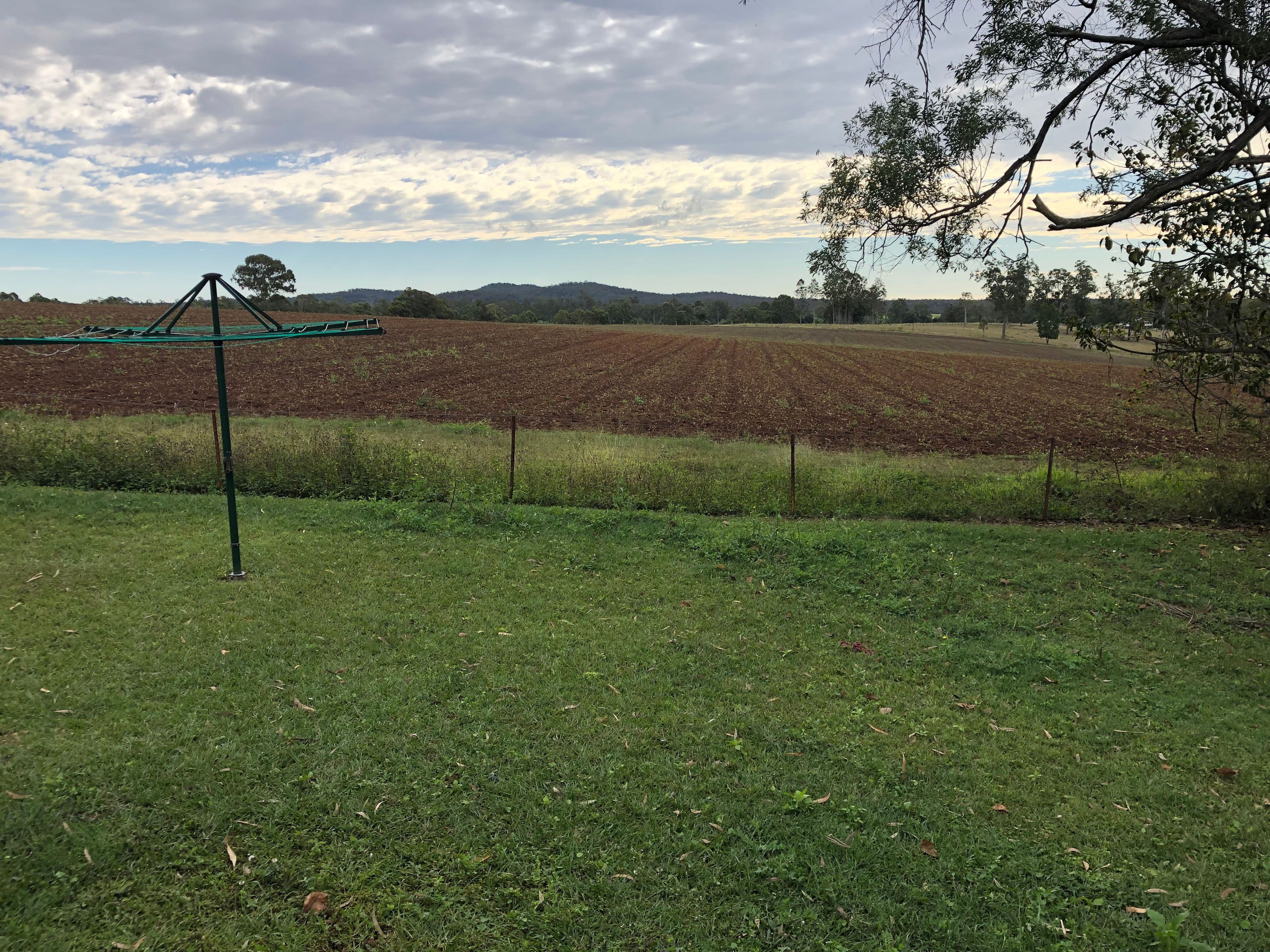 16 Willetts Road, Bauple QLD 4650, Bauple - Thumbnail 5